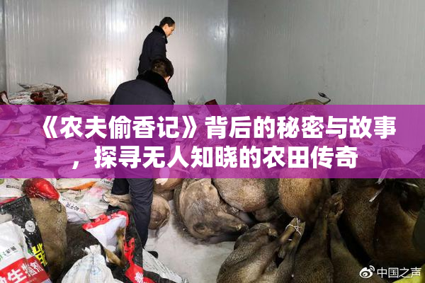 《农夫偷香记》背后的秘密与故事，探寻无人知晓的农田传奇