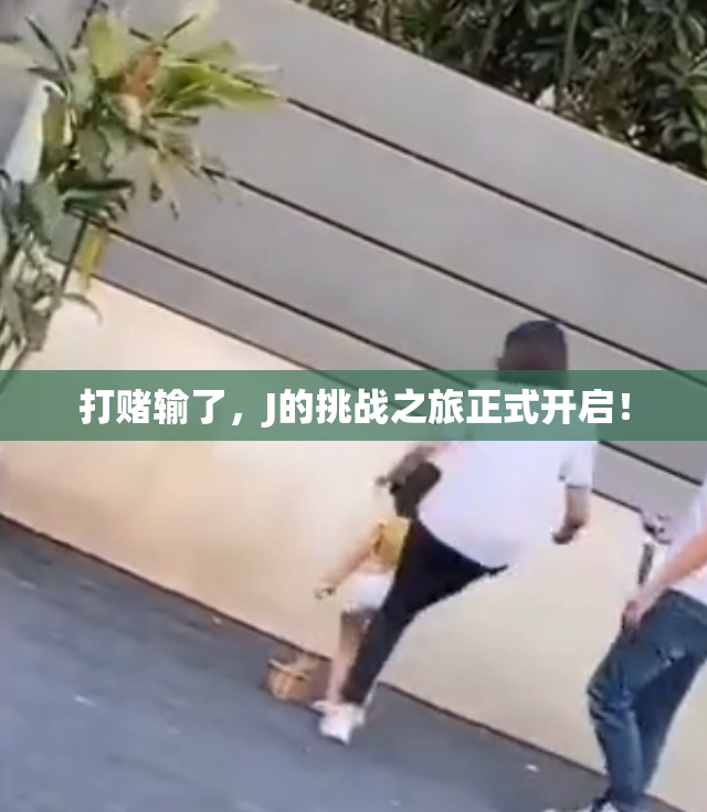 打赌输了，J的挑战之旅正式开启！
