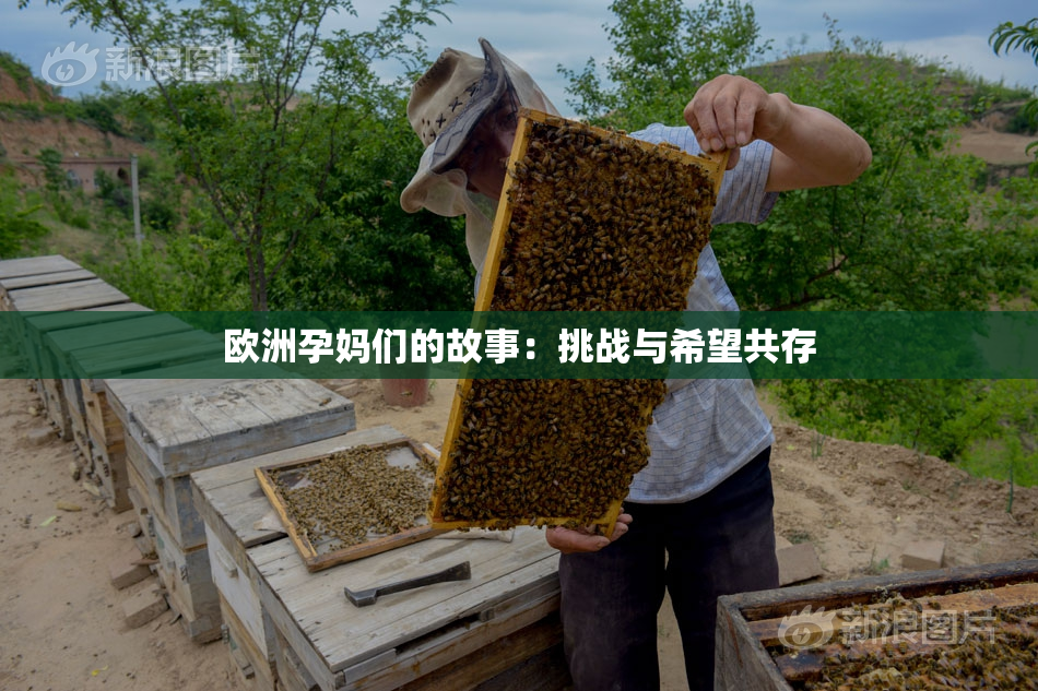 欧洲孕妈们的故事：挑战与希望共存