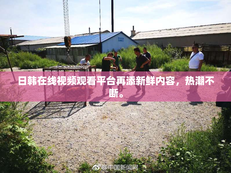 日韩在线视频观看平台再添新鲜内容，热潮不断。