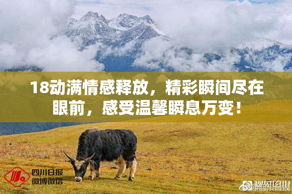 18动满情感释放，精彩瞬间尽在眼前，感受温馨瞬息万变！