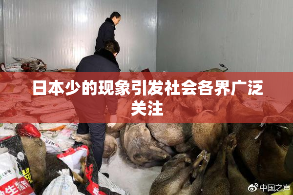 日本少的现象引发社会各界广泛关注