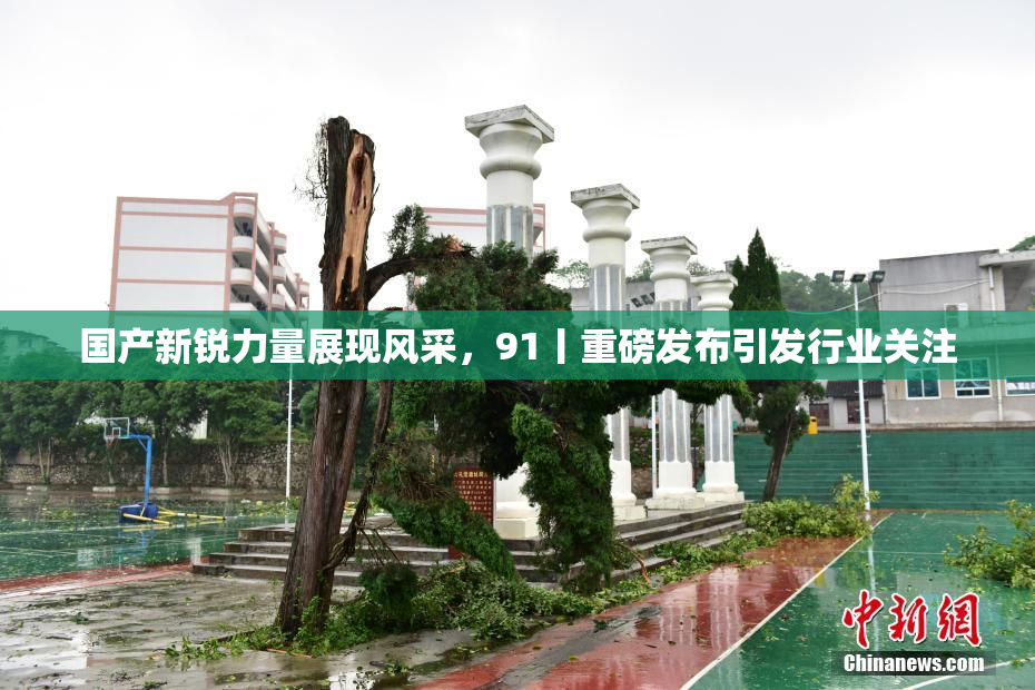国产新锐力量展现风采，91丨重磅发布引发行业关注