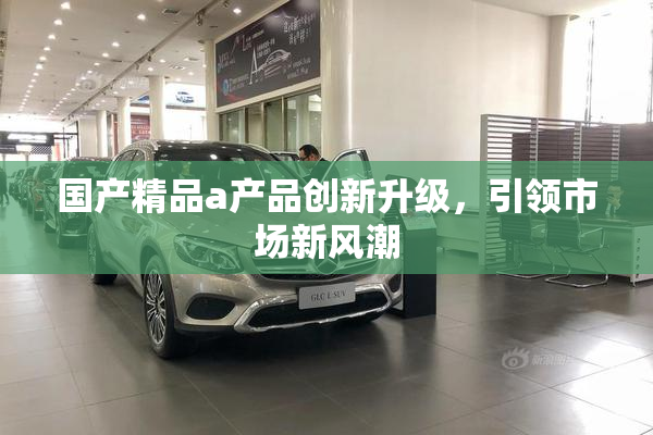 国产精品a产品创新升级，引领市场新风潮