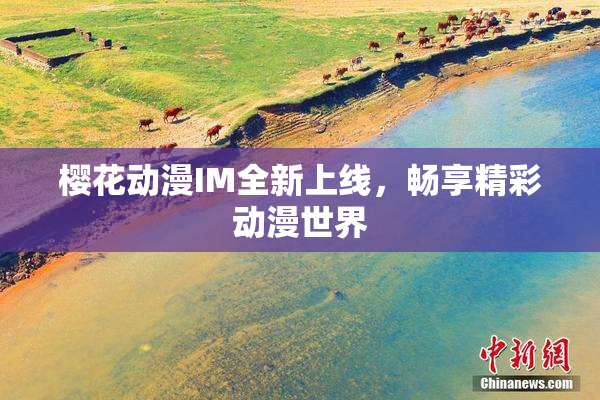 樱花动漫IM全新上线，畅享精彩动漫世界