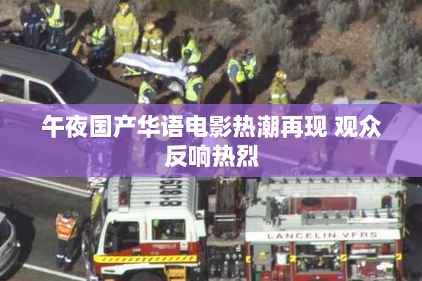 午夜国产华语电影热潮再现 观众反响热烈