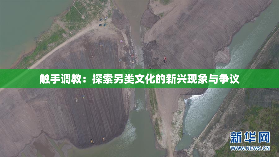 触手调教：探索另类文化的新兴现象与争议