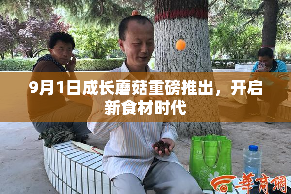 9月1日成长蘑菇重磅推出，开启新食材时代