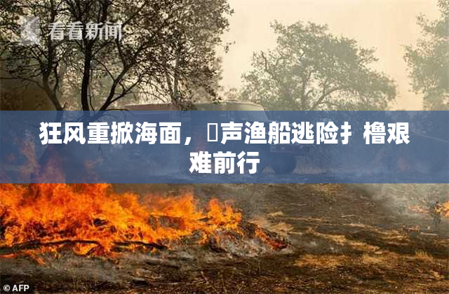 狂风重掀海面，喿声渔船逃险扌橹艰难前行