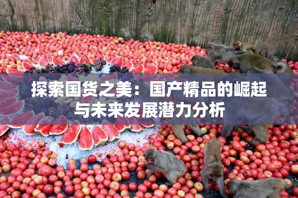 探索国货之美：国产精品的崛起与未来发展潜力分析
