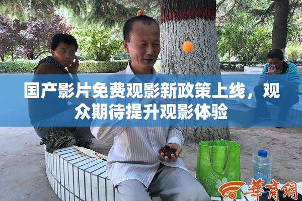 国产影片免费观影新政策上线，观众期待提升观影体验