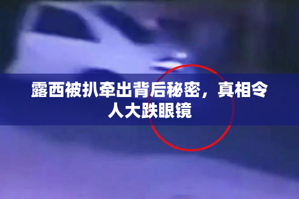 露西被扒牵出背后秘密，真相令人大跌眼镜