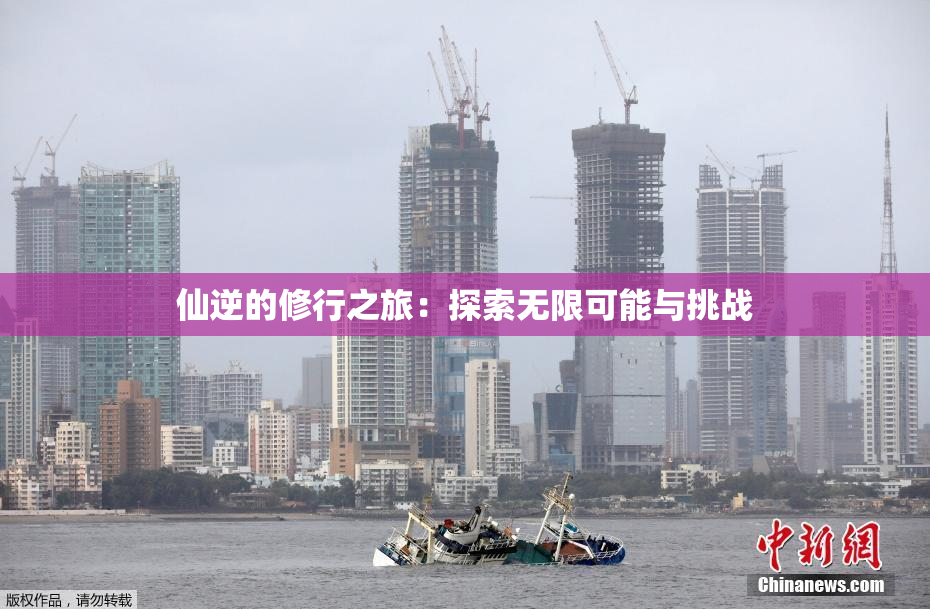 仙逆的修行之旅：探索无限可能与挑战