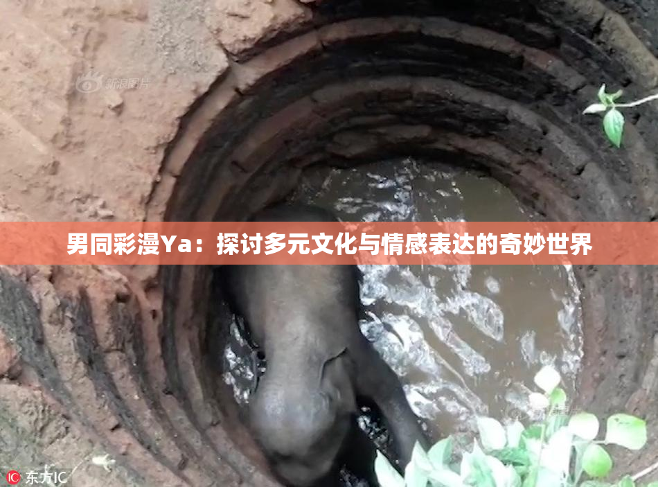 男同彩漫Ya：探讨多元文化与情感表达的奇妙世界