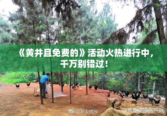 《黄并且免费的》活动火热进行中，千万别错过！