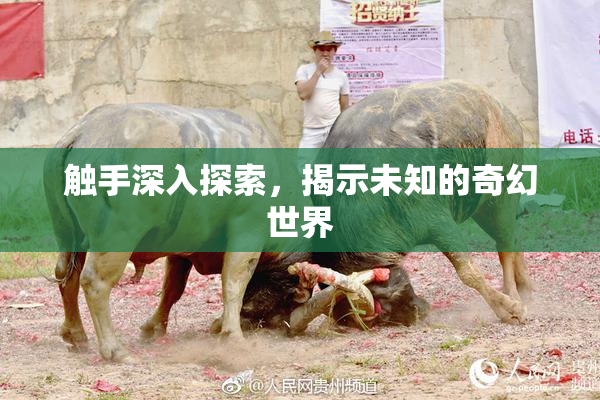 触手深入探索，揭示未知的奇幻世界