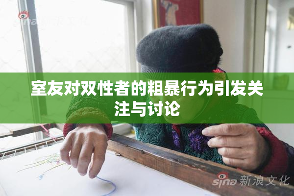 室友对双性者的粗暴行为引发关注与讨论