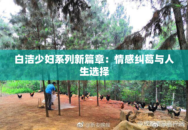 白洁少妇系列新篇章：情感纠葛与人生选择