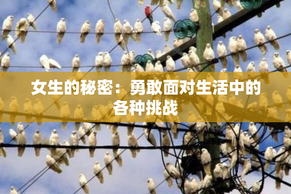 女生的秘密：勇敢面对生活中的各种挑战