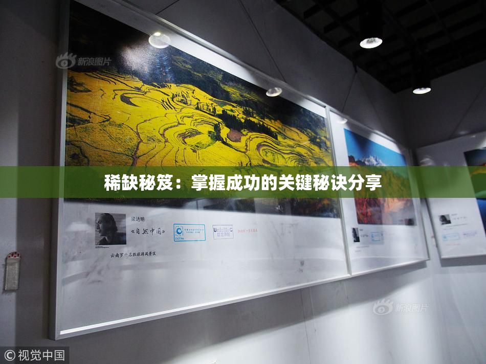 稀缺秘笈：掌握成功的关键秘诀分享