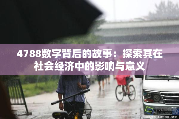 4788数字背后的故事：探索其在社会经济中的影响与意义