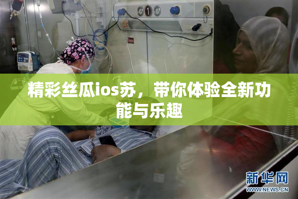 精彩丝瓜ios苏，带你体验全新功能与乐趣
