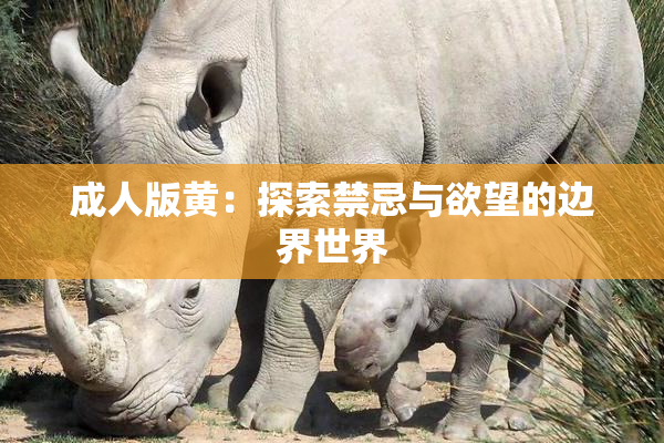 成人版黄：探索禁忌与欲望的边界世界