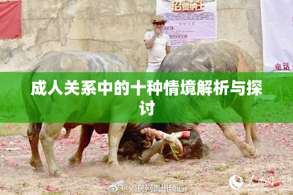 成人关系中的十种情境解析与探讨