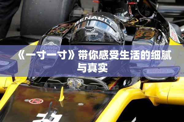 《一寸一寸》带你感受生活的细腻与真实