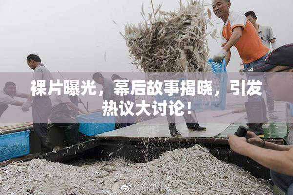 裸片曝光，幕后故事揭晓，引发热议大讨论！