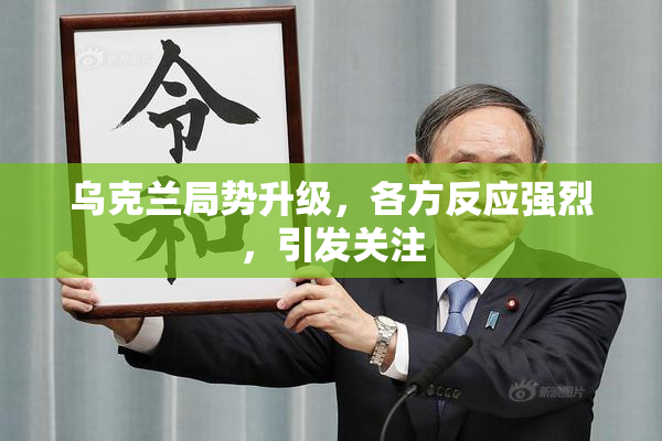 乌克兰局势升级，各方反应强烈，引发关注