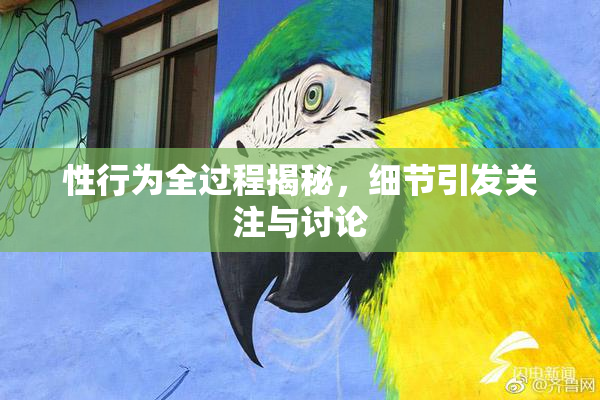 性行为全过程揭秘，细节引发关注与讨论
