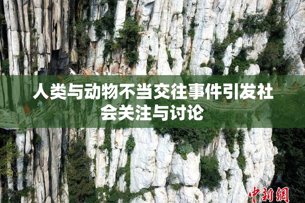 人类与动物不当交往事件引发社会关注与讨论