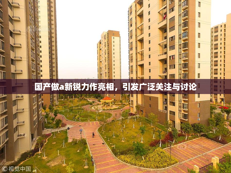 国产做a新锐力作亮相，引发广泛关注与讨论