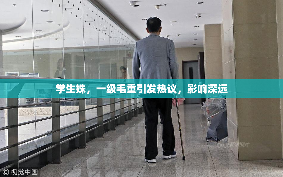 学生姝，一级毛重引发热议，影响深远