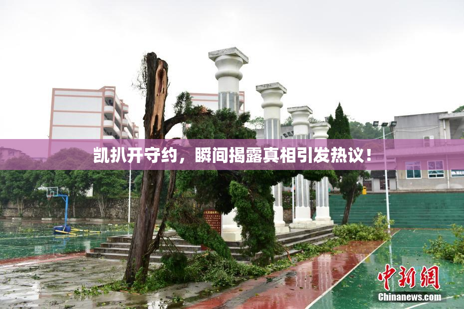 凯扒开守约，瞬间揭露真相引发热议！