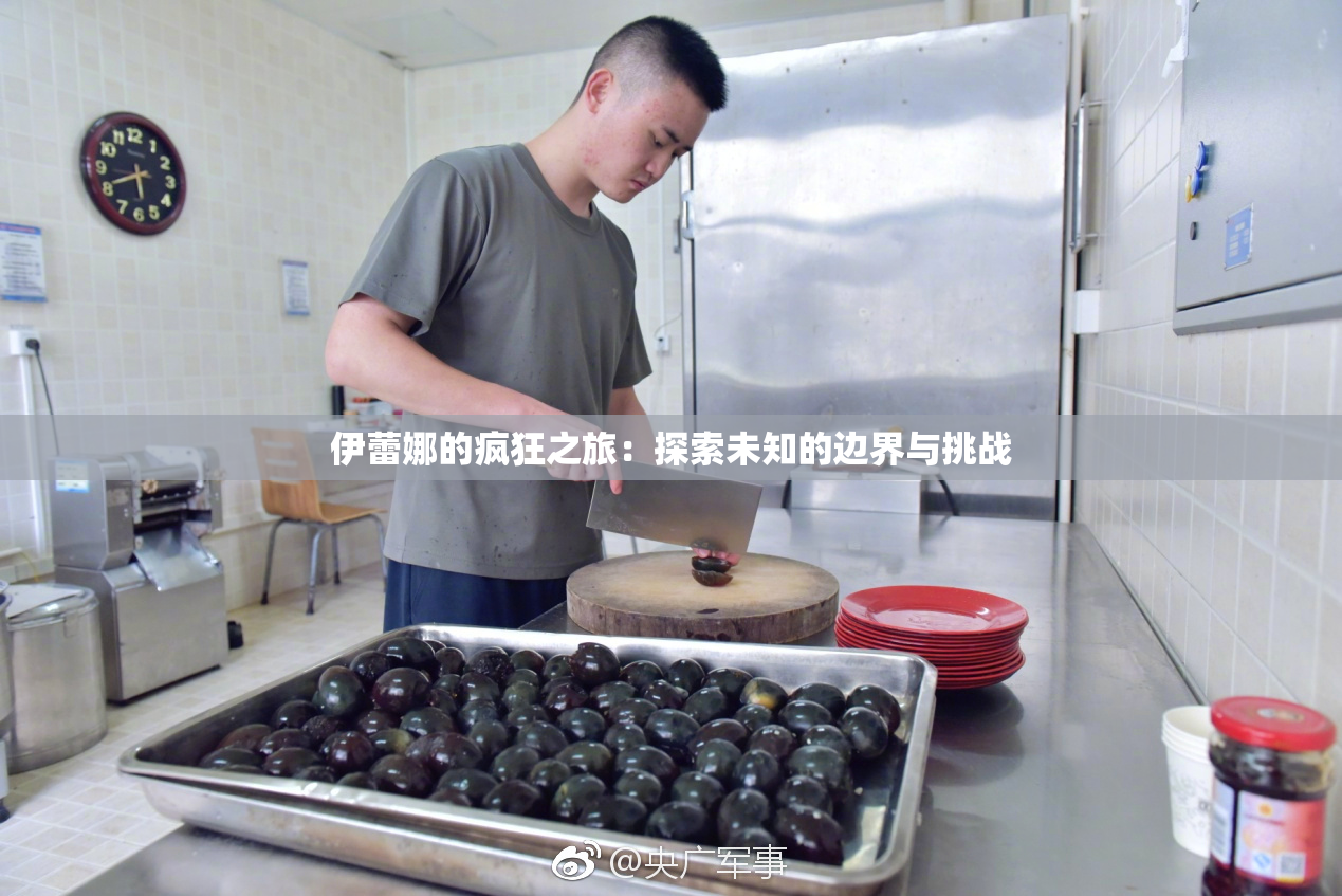 伊蕾娜的疯狂之旅：探索未知的边界与挑战
