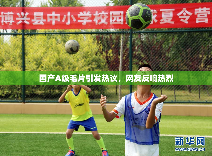国产A级毛片引发热议，网友反响热烈