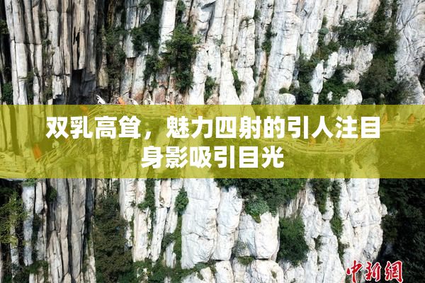 双乳高耸，魅力四射的引人注目身影吸引目光