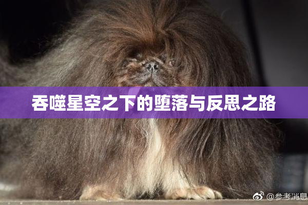 吞噬星空之下的堕落与反思之路