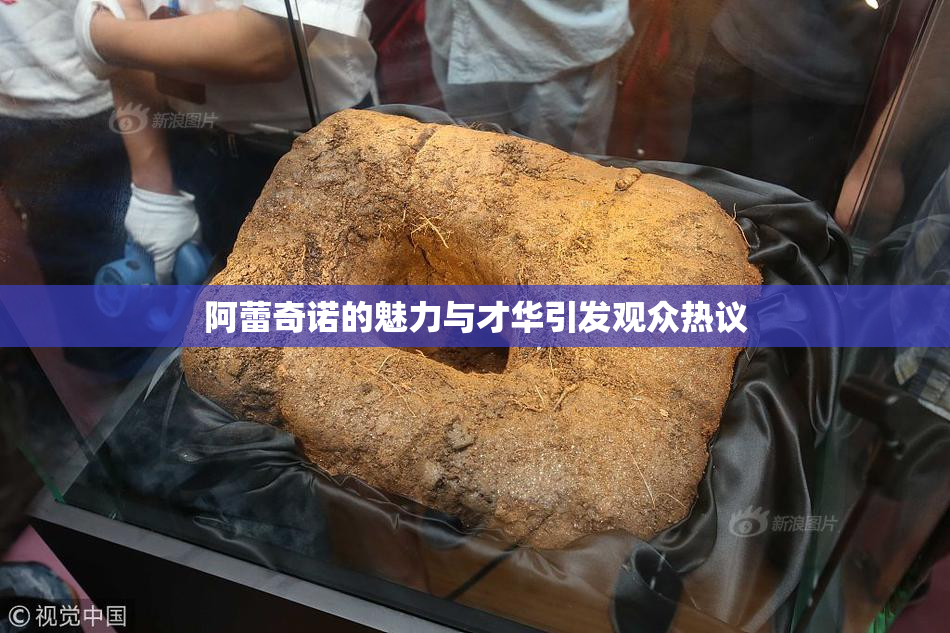 阿蕾奇诺的魅力与才华引发观众热议