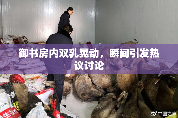 御书房内双乳晃动，瞬间引发热议讨论