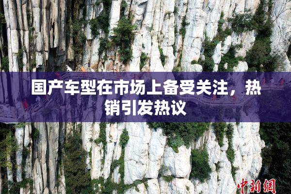 国产车型在市场上备受关注，热销引发热议