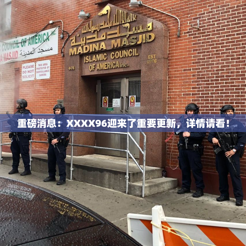重磅消息：XXXX96迎来了重要更新，详情请看！