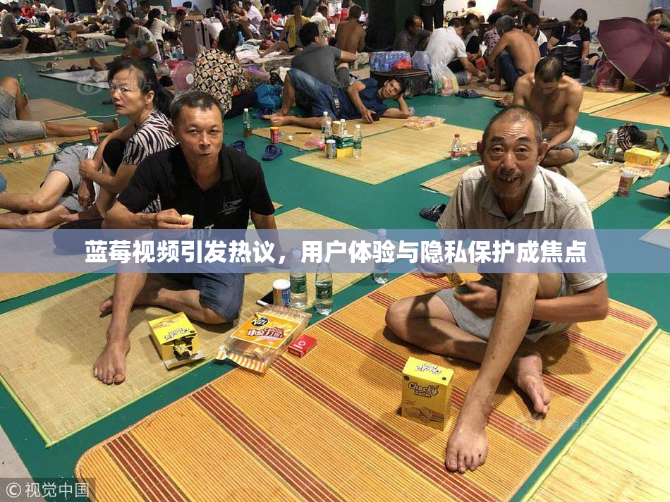 蓝莓视频引发热议，用户体验与隐私保护成焦点