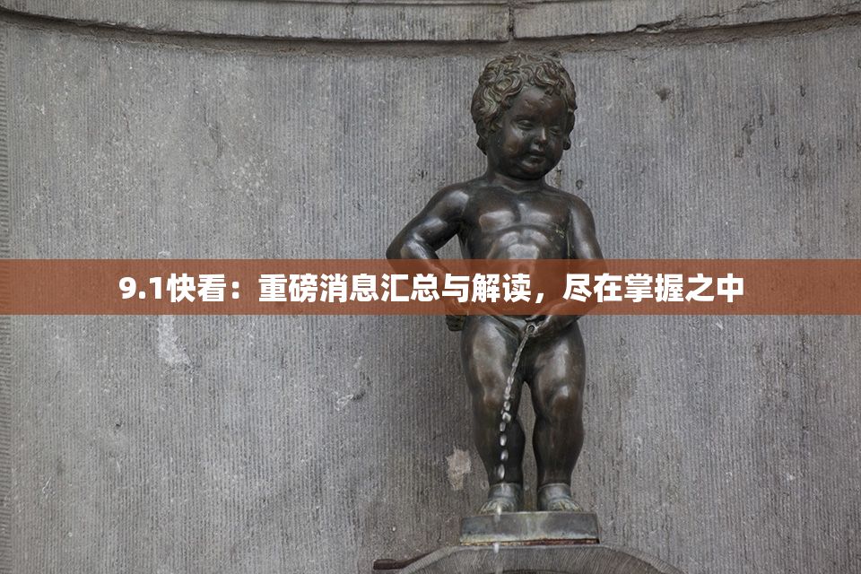 9.1快看：重磅消息汇总与解读，尽在掌握之中