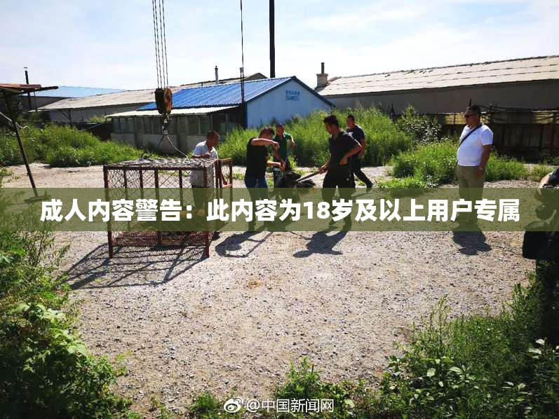 成人内容警告：此内容为18岁及以上用户专属