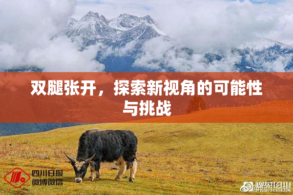 双腿张开，探索新视角的可能性与挑战