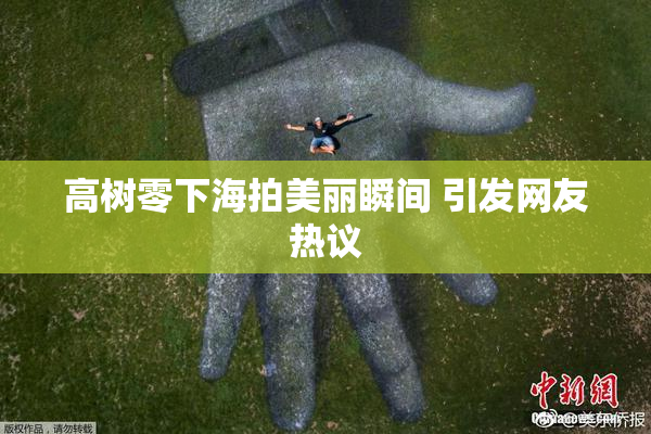 高树零下海拍美丽瞬间 引发网友热议