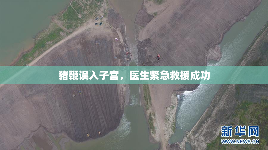 猪鞭误入子宫，医生紧急救援成功